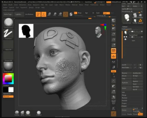 move zbrush license to windows